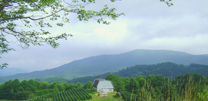 Mountain Mike Realty of Beech Mountain NC in Beech Mountain, NC (4)