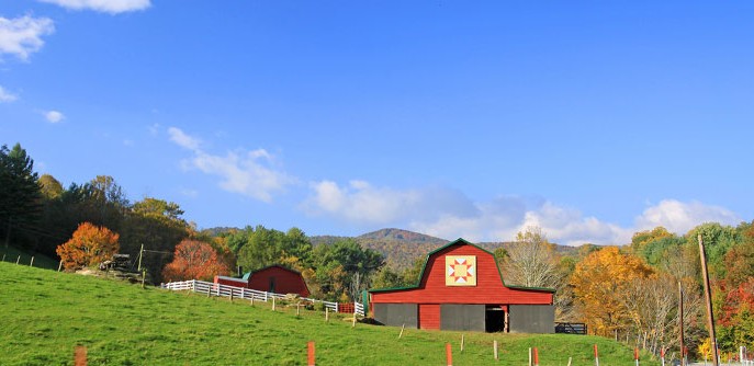 Mountain Mike Realty of Beech Mountain NC in Beech Mountain, NC (5)