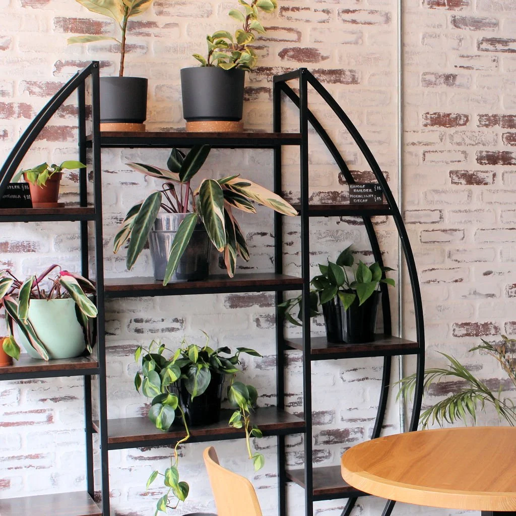 Bloom Coffee Co. in Atlanta, GA (5)