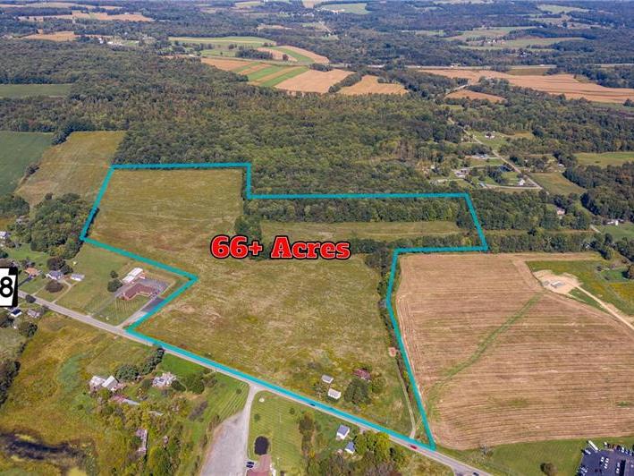 Lisa Phillips, REALTOR in Hermitage, PA (3)