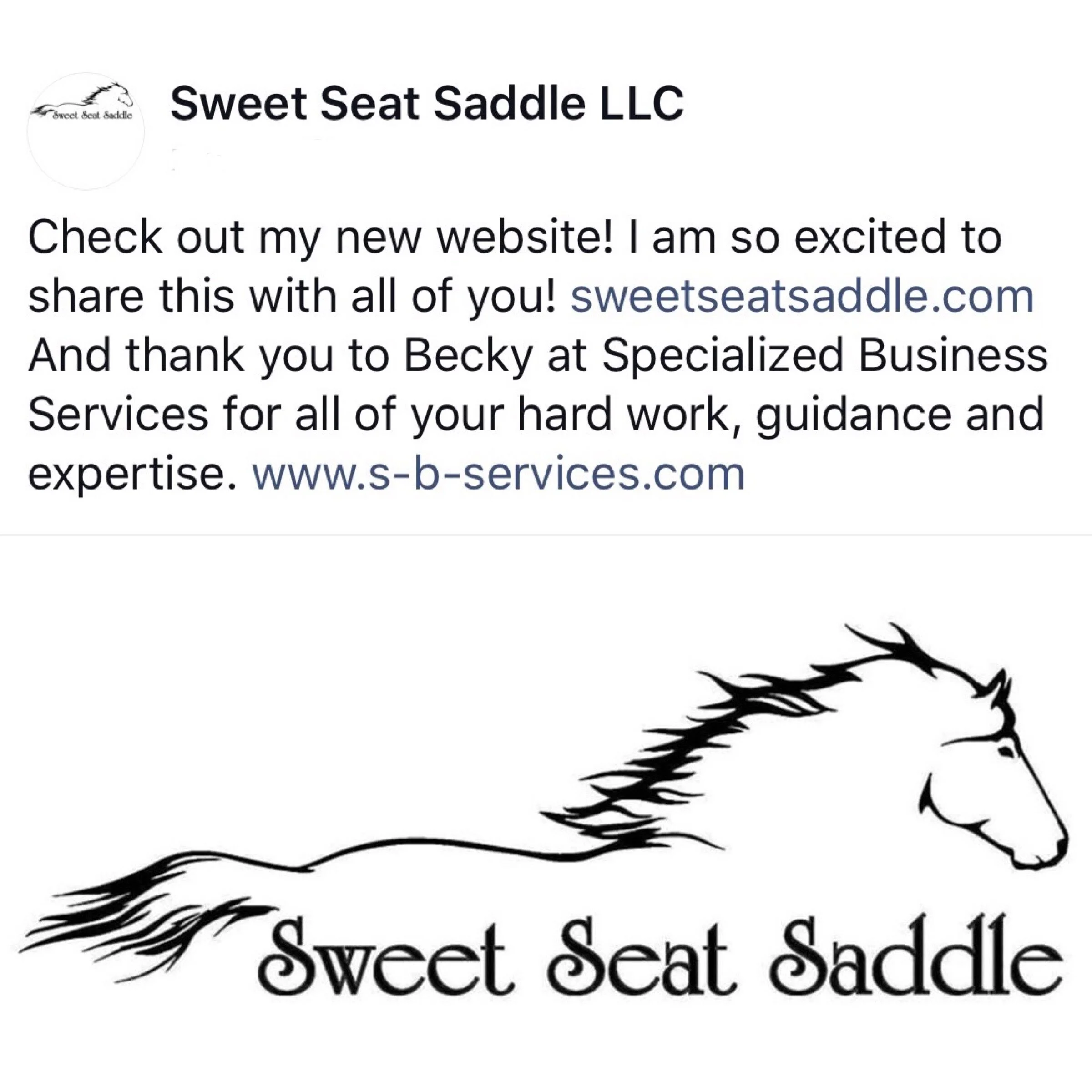 Specialized Business Services LLC in Landrum, SC (4)