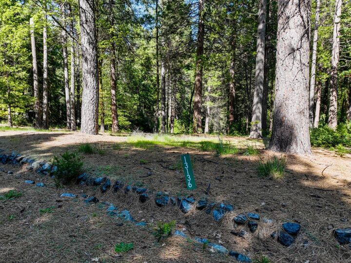 Natalie Grundmann, Sierra Heritage Realty in Echo Lake, CA (4)