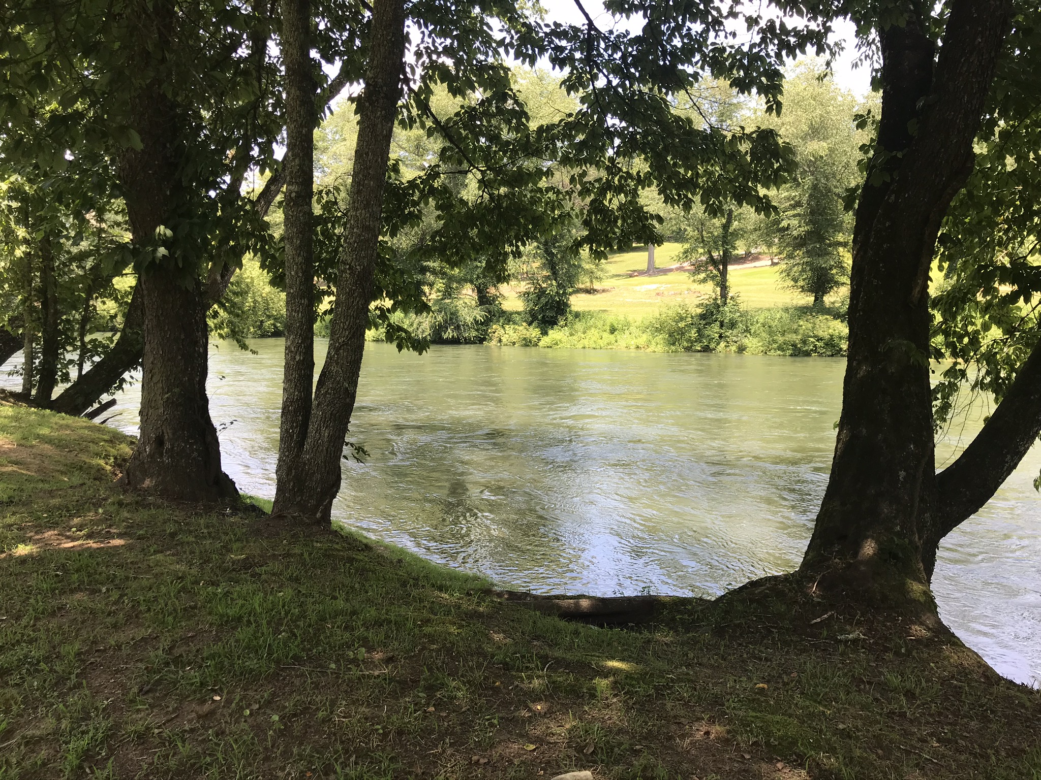 Elder Law Practice of David L. McGuffey in Ellijay in East Ellijay, GA