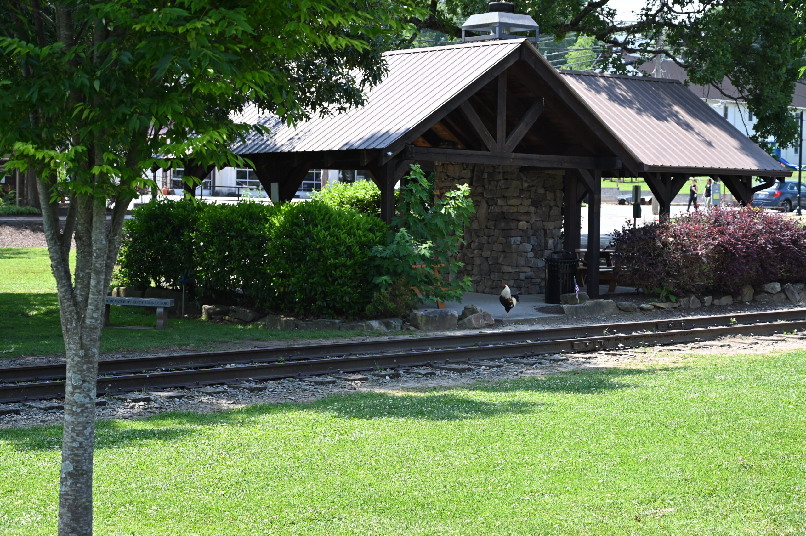 Elder Law Practice of David L. McGuffey in Ellijay in East Ellijay, GA (3)