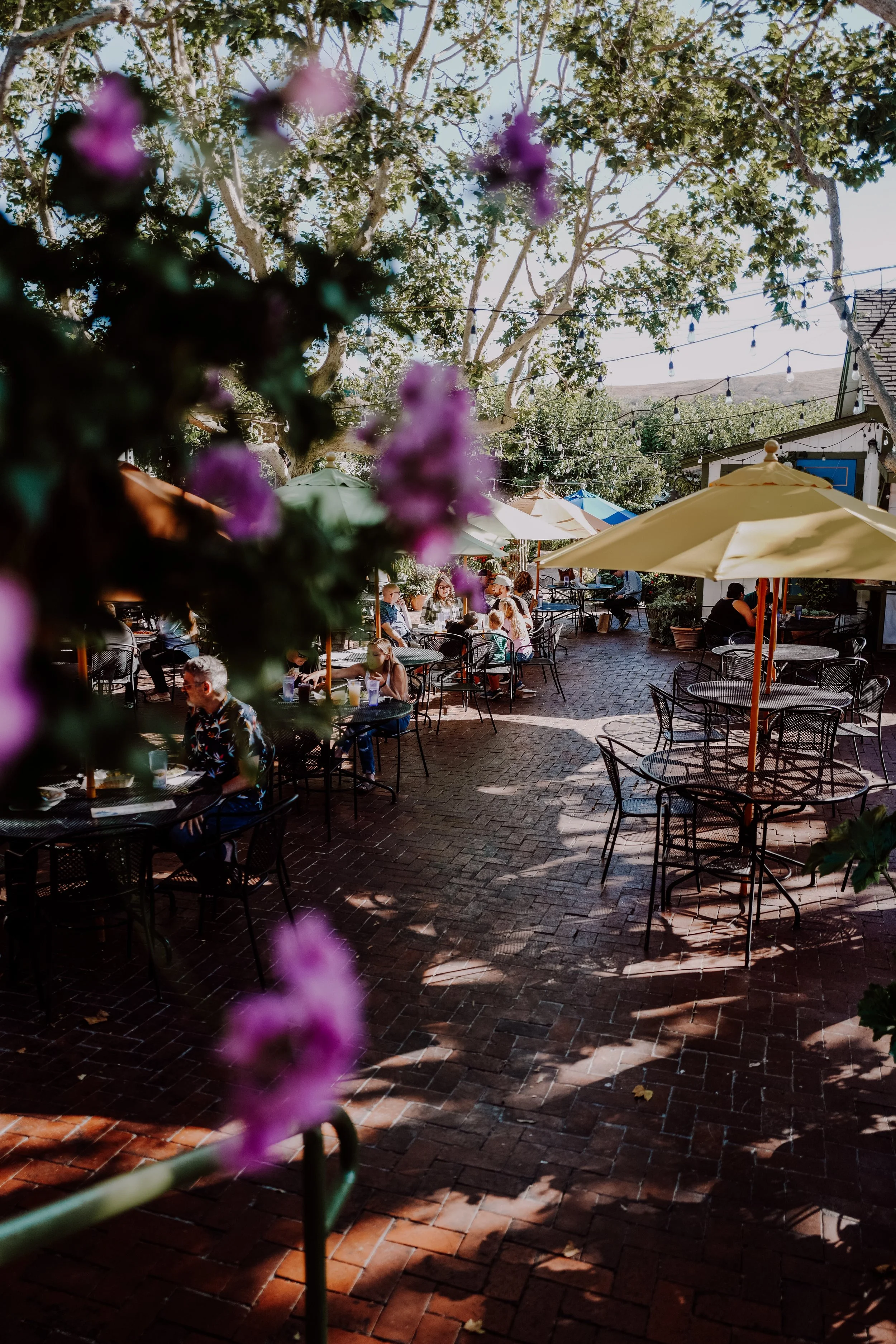 Jardines de San Juan Restaurant & Event Venue in San Juan Bautista, CA