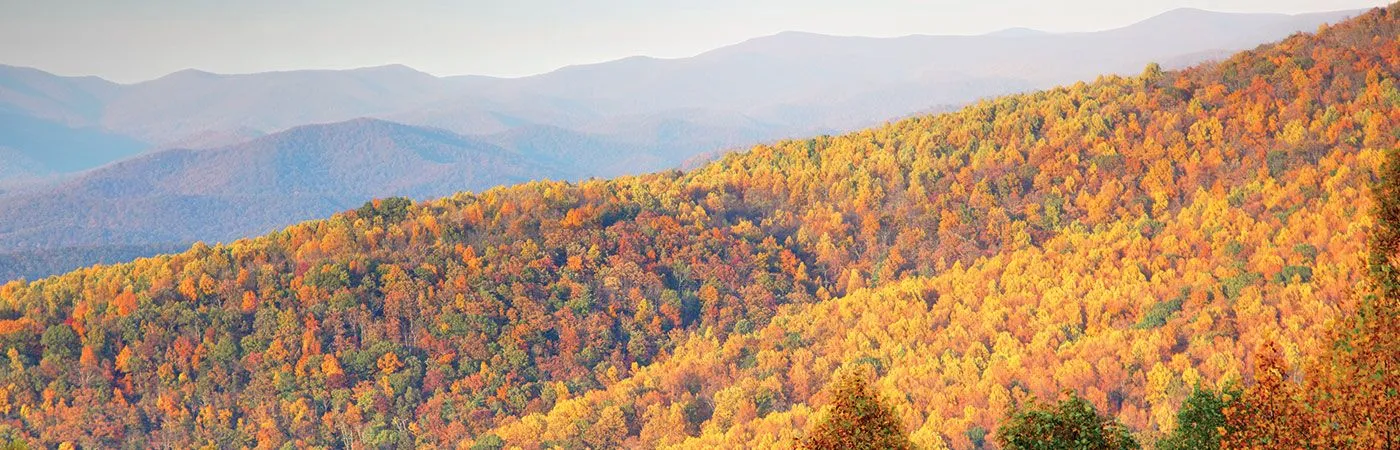 Ferguson Law, Inc. Attorneys in Rocky Mount, VA