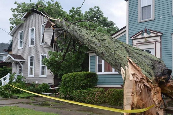 Whetstone Legal, L.L.C. in Thornville, OH (5)