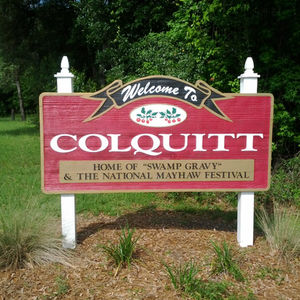 Phillips-Lee Law, LLC in Colquitt, GA (4)