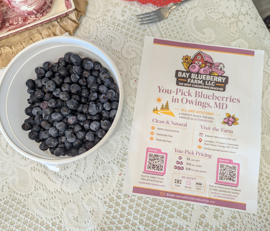 Butterflies & Wishes Tea & Sweets in Chesapeake Beach, MD