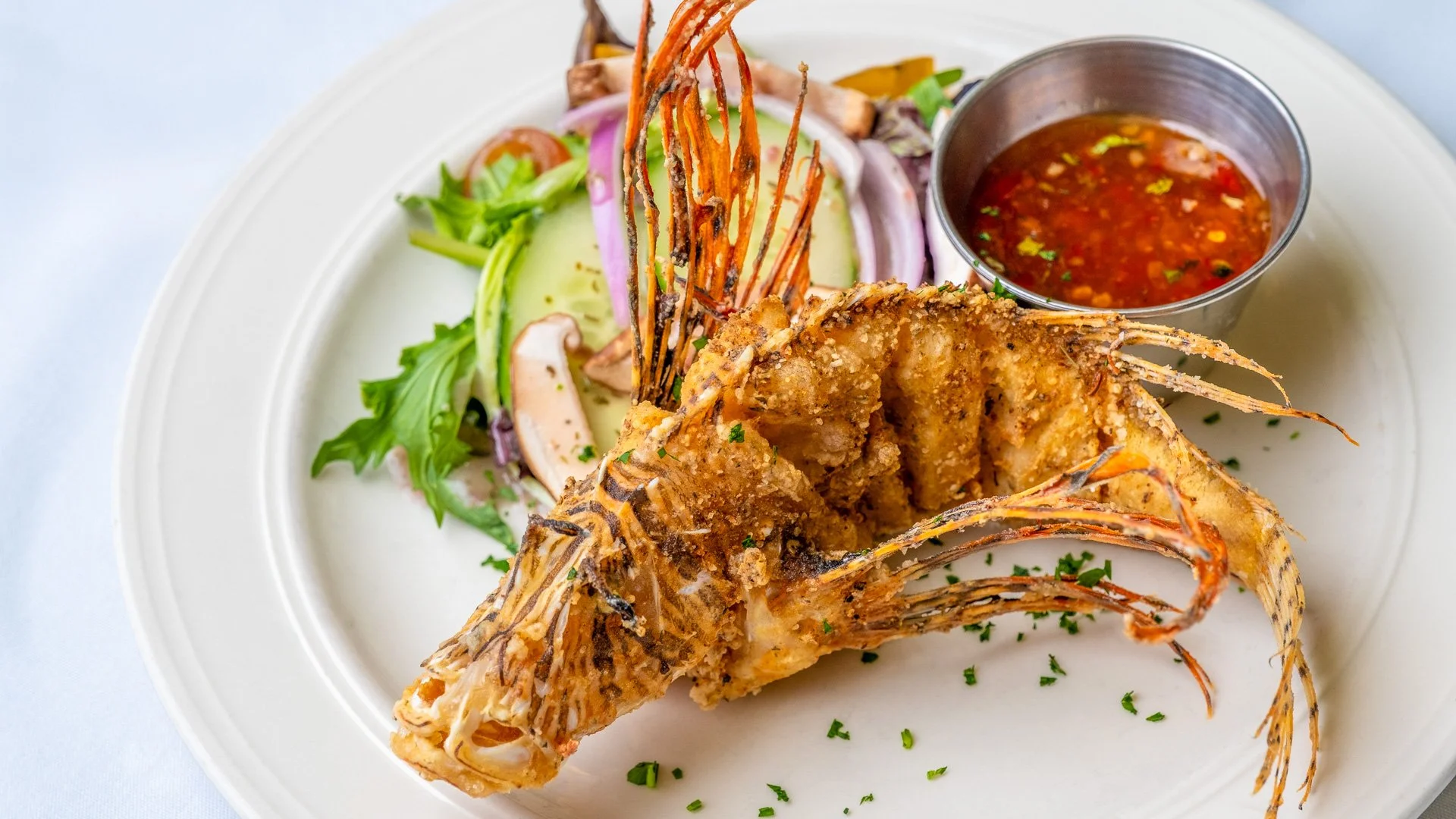 Chef Michael's in Islamorada, FL (6)