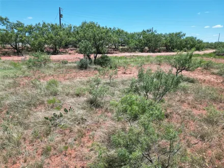 Trinity Ranch Land in Cisco, TX (3)