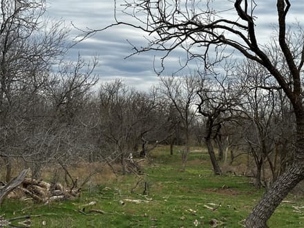 Trinity Ranch Land in Cisco, TX (6)