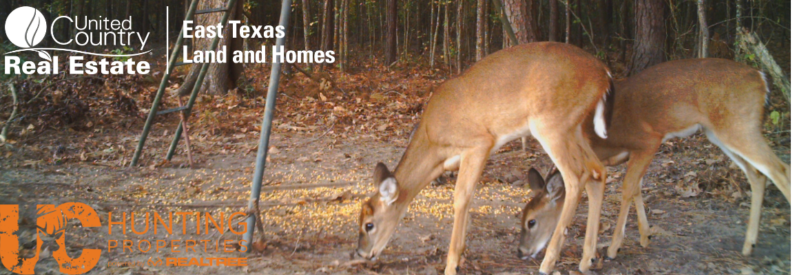 United Country Real Estate - East Texas Land and Homes in Rusk, TX