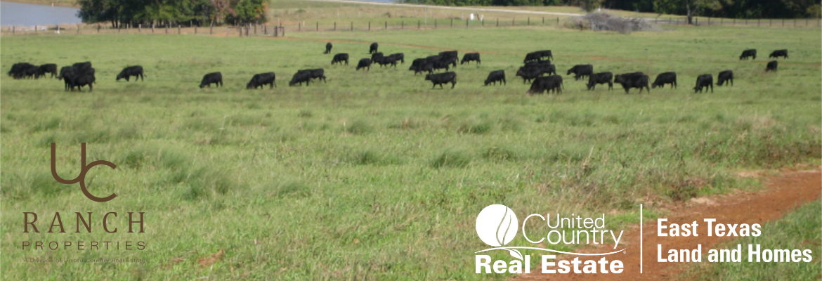 United Country Real Estate - East Texas Land and Homes in Rusk, TX (3)