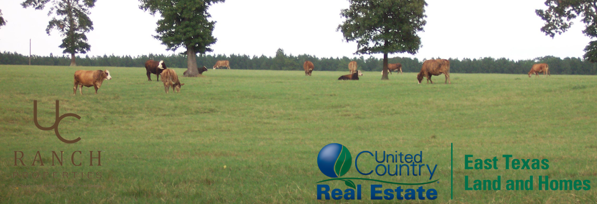 United Country Real Estate - East Texas Land and Homes in Rusk, TX (5)