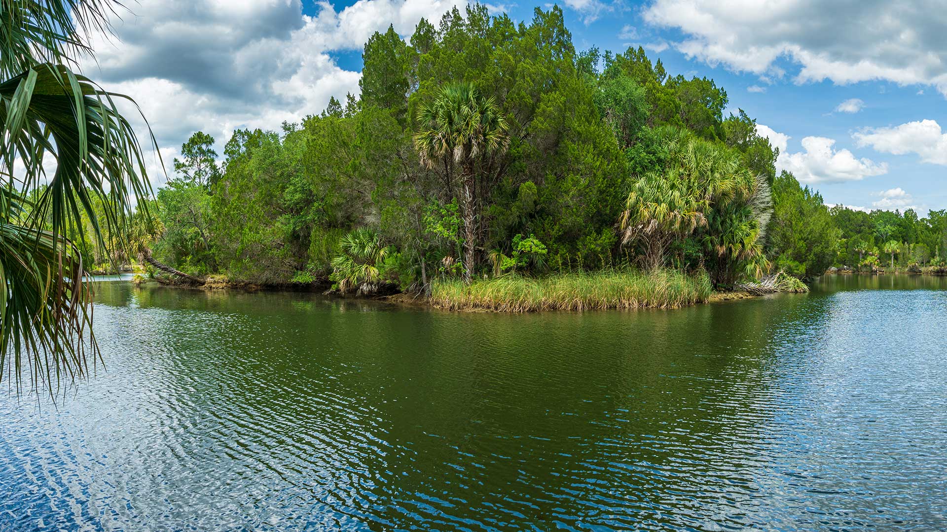 Schlumberger-Jones CPA & Co in Crystal River, FL (2)