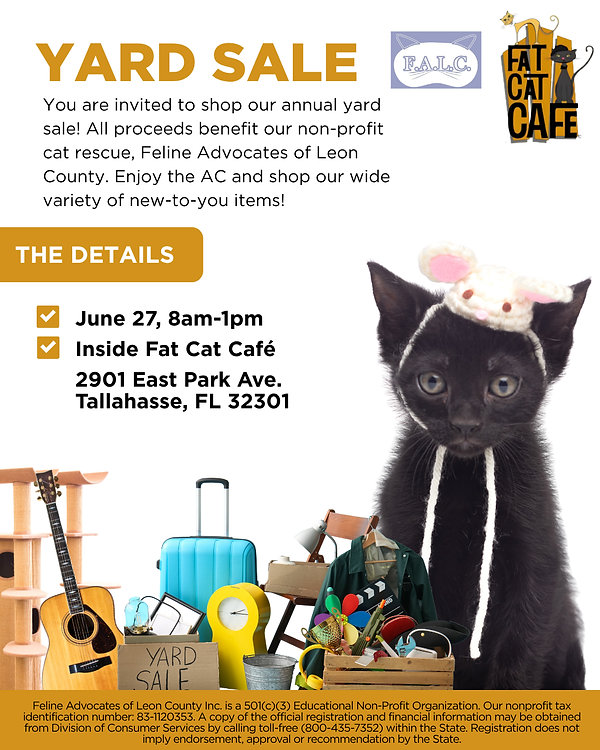 Fat Cat Books in Tallahassee, FL (5)
