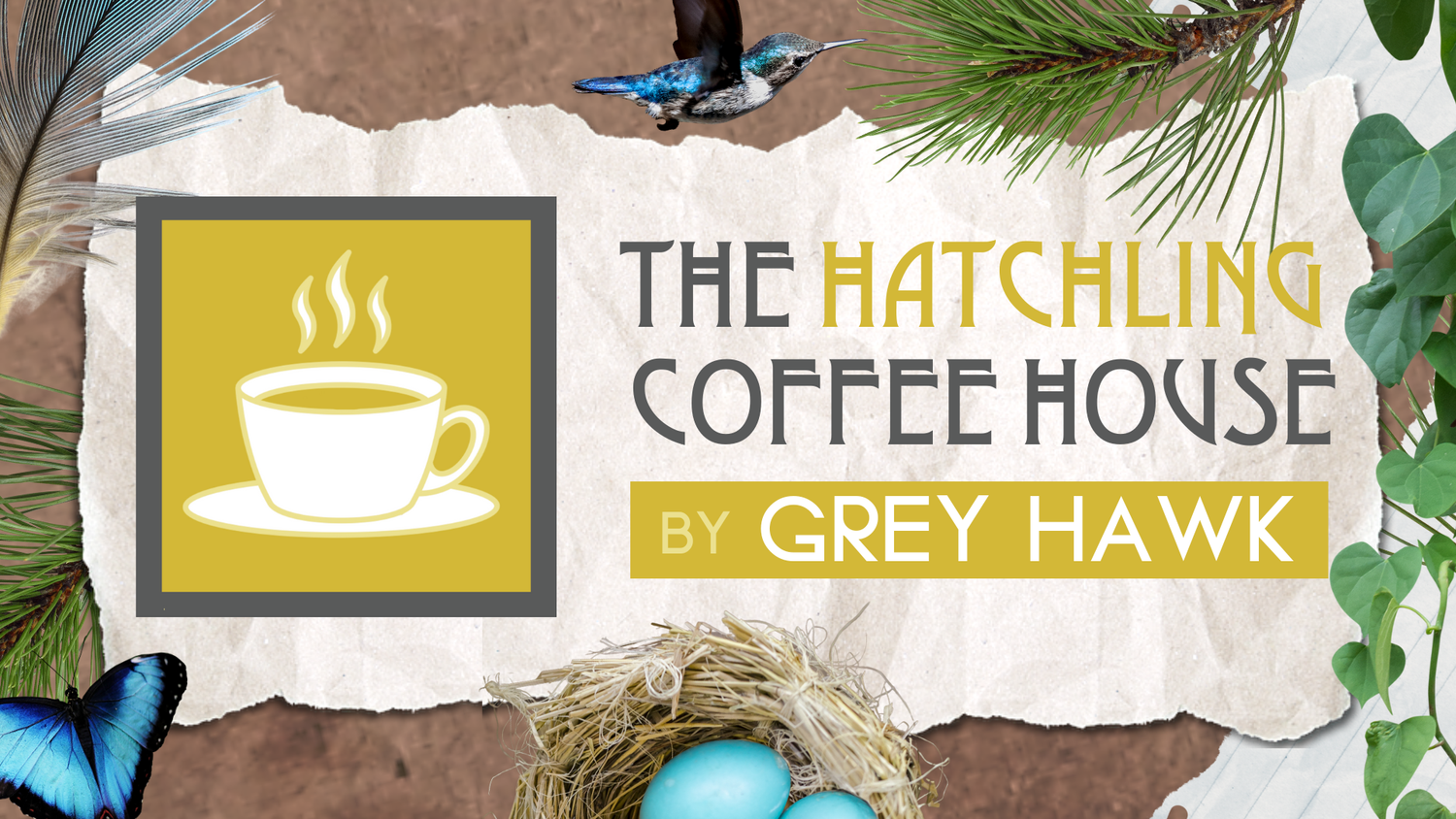 The Hatchling Coffee House by Grey Hawk in Lake Lure, NC (5)