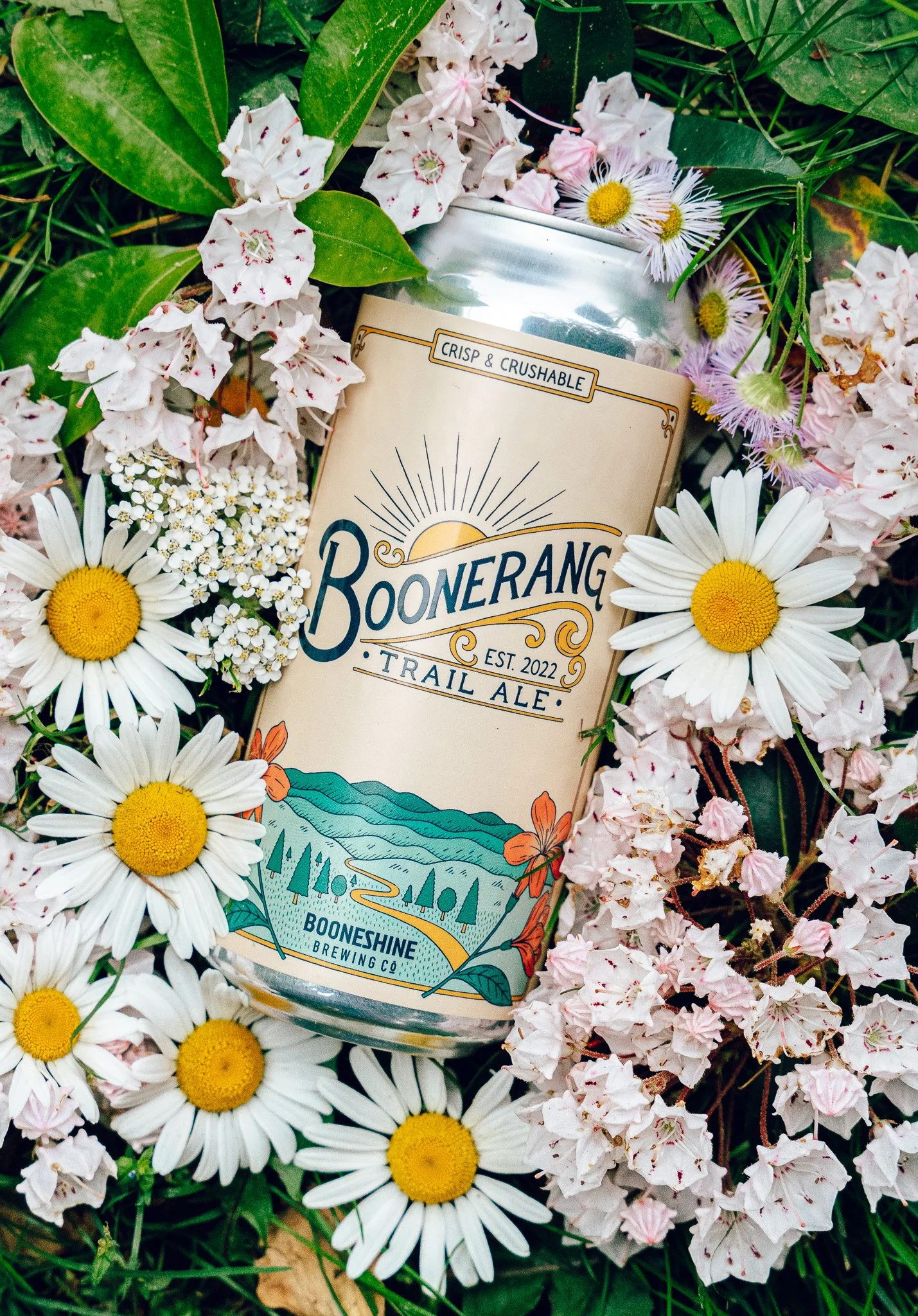 Booneshine Brewing Company in Boone, NC (6)