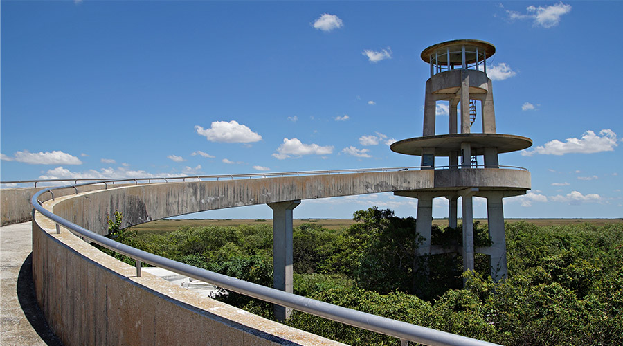 Kierzynski and Associates CPA PA in Spring Hill, FL (3)