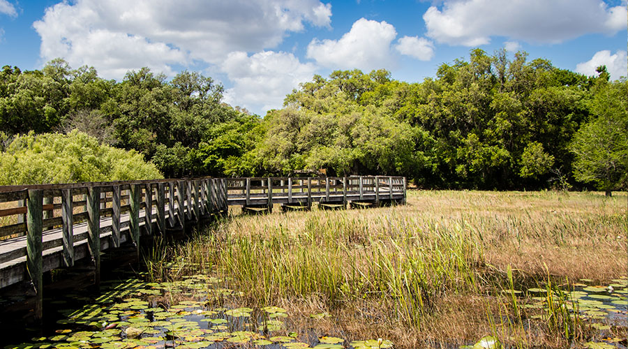 Kierzynski and Associates CPA PA in Spring Hill, FL (4)