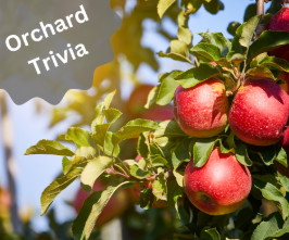 Mt Airy Orchards in Dillsburg, PA (2)
