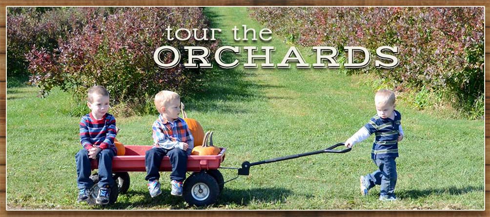 Mt Airy Orchards in Dillsburg, PA (3)