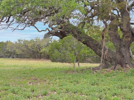 Bumpus Ranch & Residential in Lampasas, TX (2)