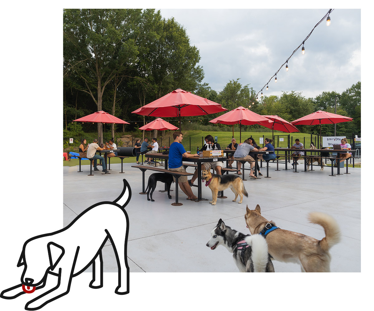 Lucky Dog Bark & Brew - Steele Creek in Charlotte, NC