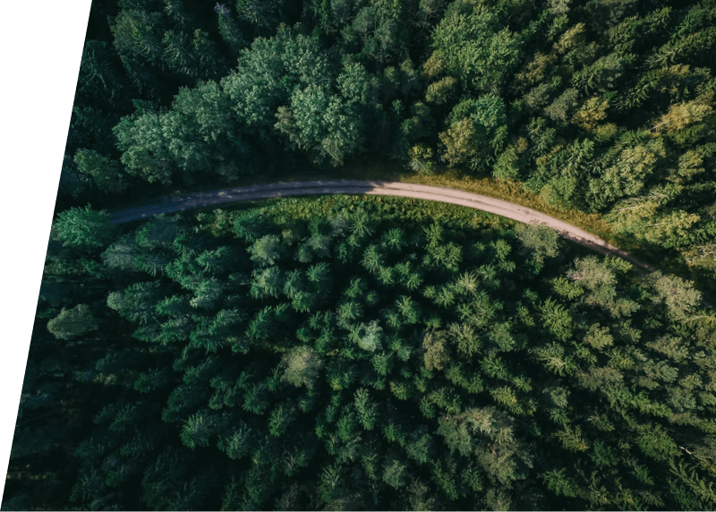 North Georgia Accounting Services in Buford, GA