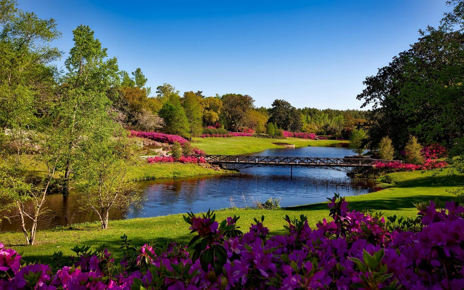 RealEdge Real Estate, LLC in Tyler, TX (2)