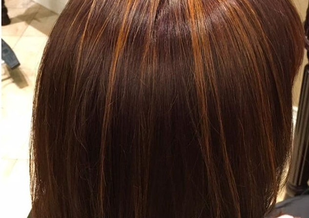 Shear Thairapy Hair Salon in Park Ridge, IL (3)