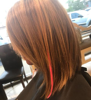 Shear Thairapy Hair Salon in Park Ridge, IL (6)