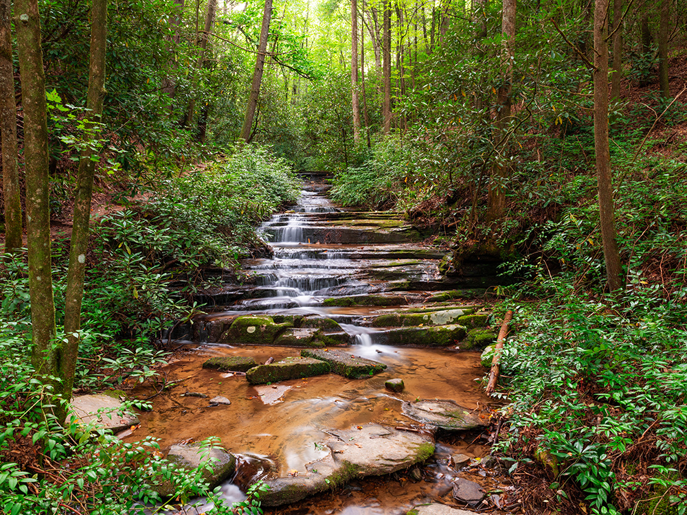 Kimberly Kelly Realty in McDonough, GA (2)