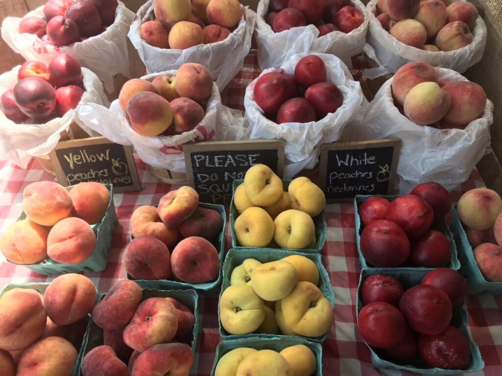 the berry farm and orchard in Kutztown, PA (4)