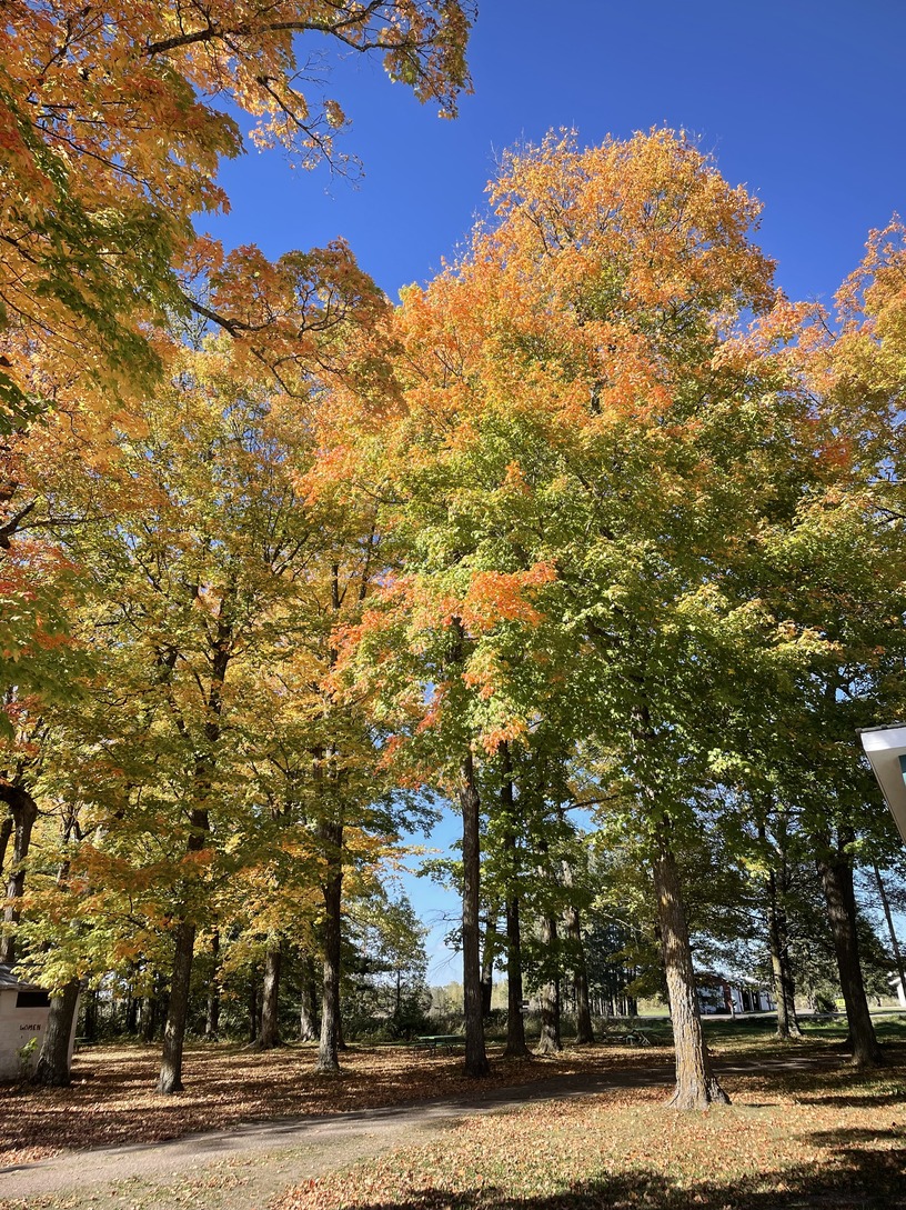 Village of Hawkins in Hawkins, WI (4)