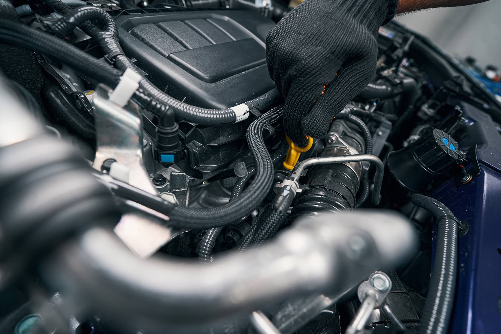 Steve's Automotive & Collision in Bensalem, PA