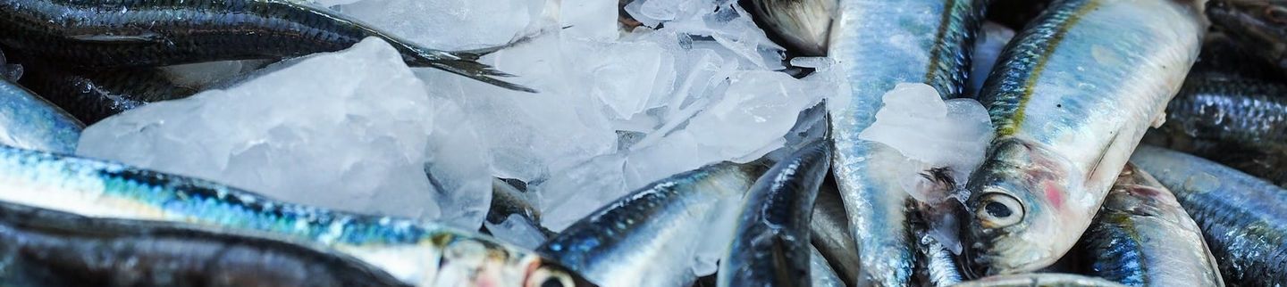 Duncan's Fish Market in Brooklyn, NY