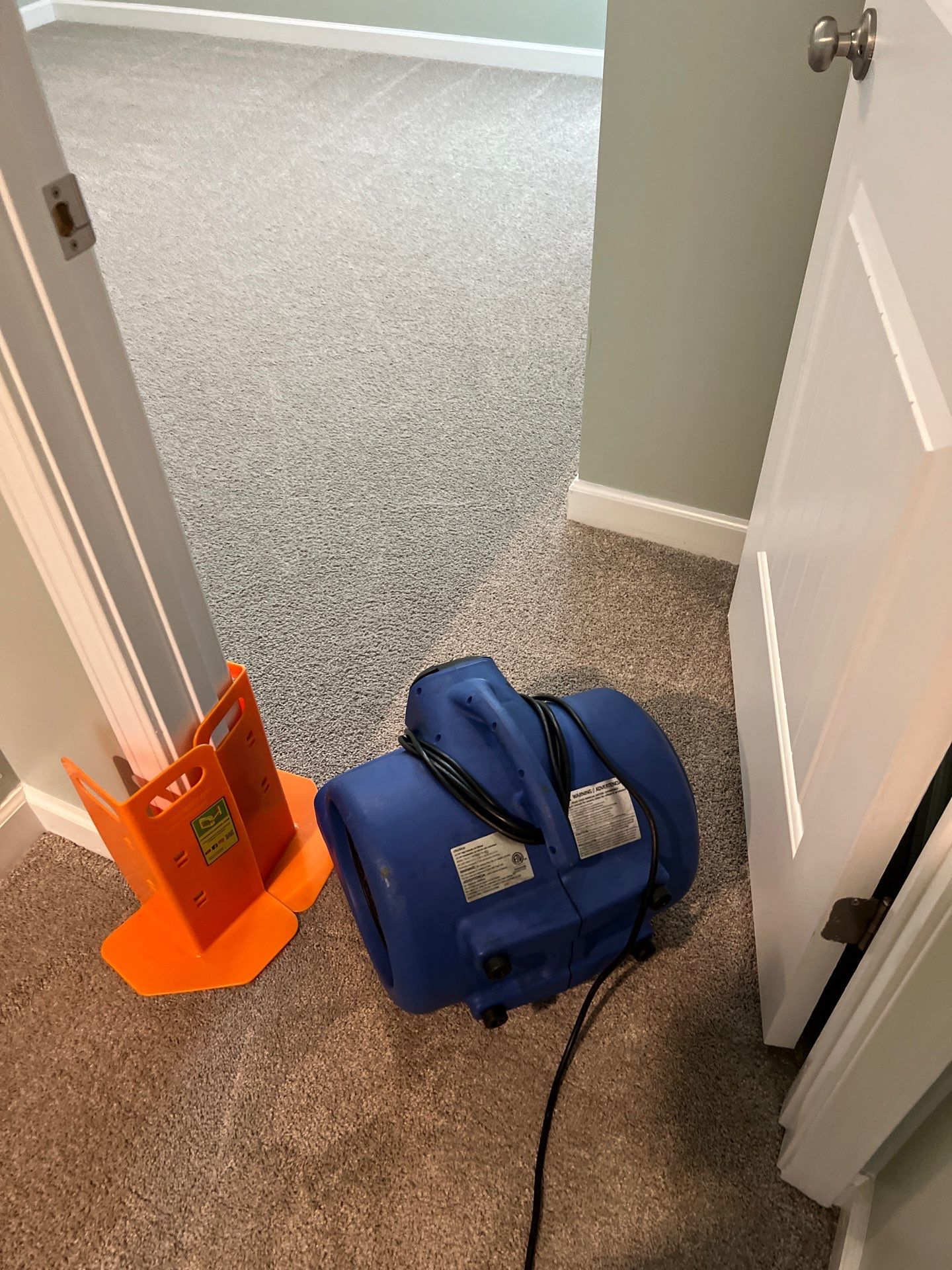 Real Clean Carpet Care in Fayetteville, NC (5)