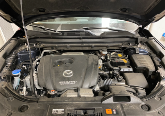Tone B's Auto Bath Detail Service in Prairie du Sac, WI (4)