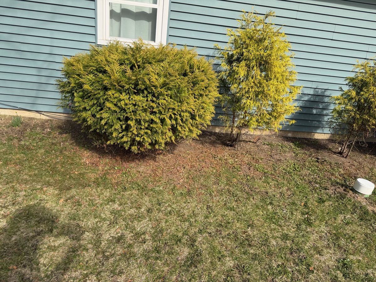JAY OF ALL TRADES LLC in Fort Wayne, IN (2)