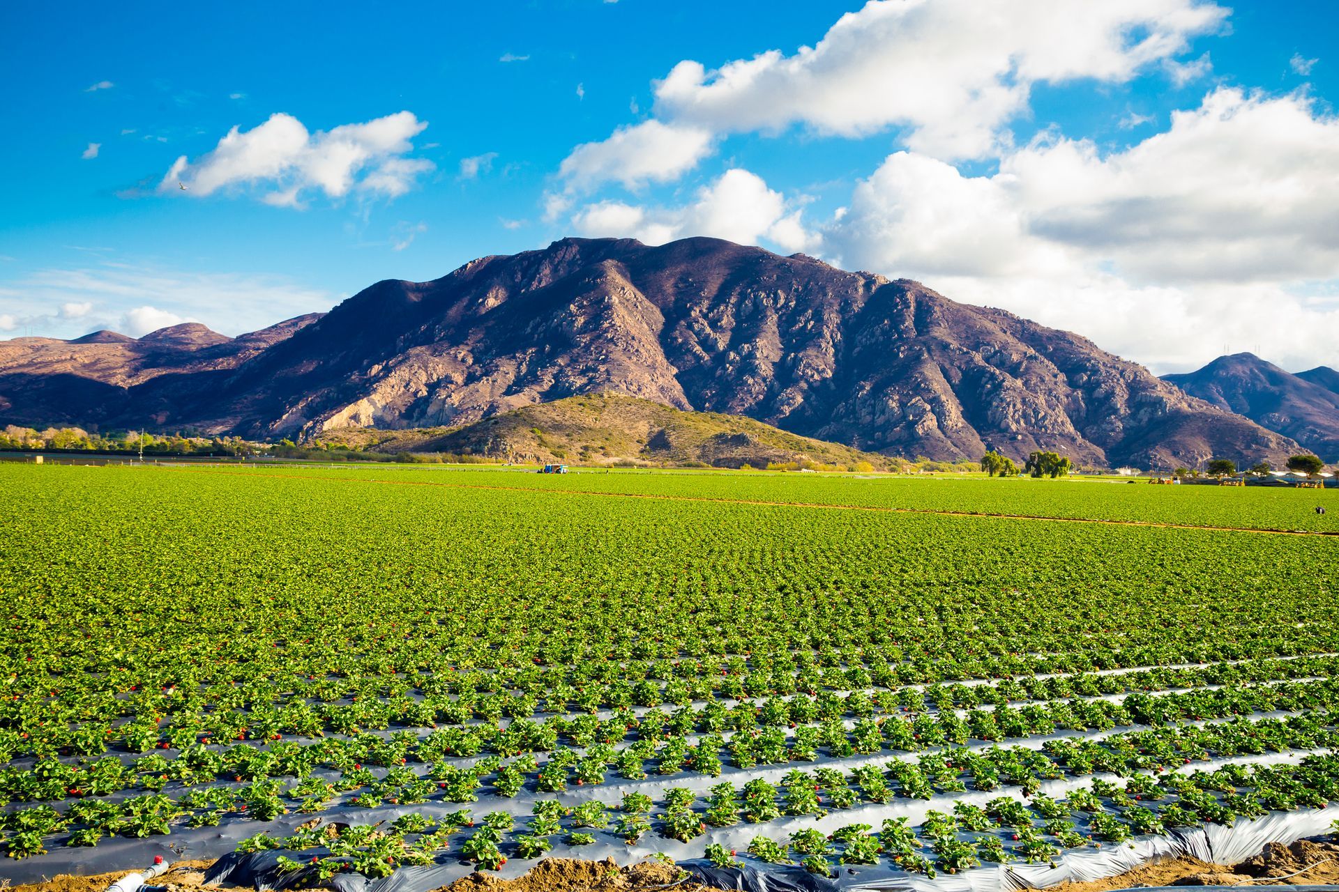 Hare & Associates in Moorpark, CA