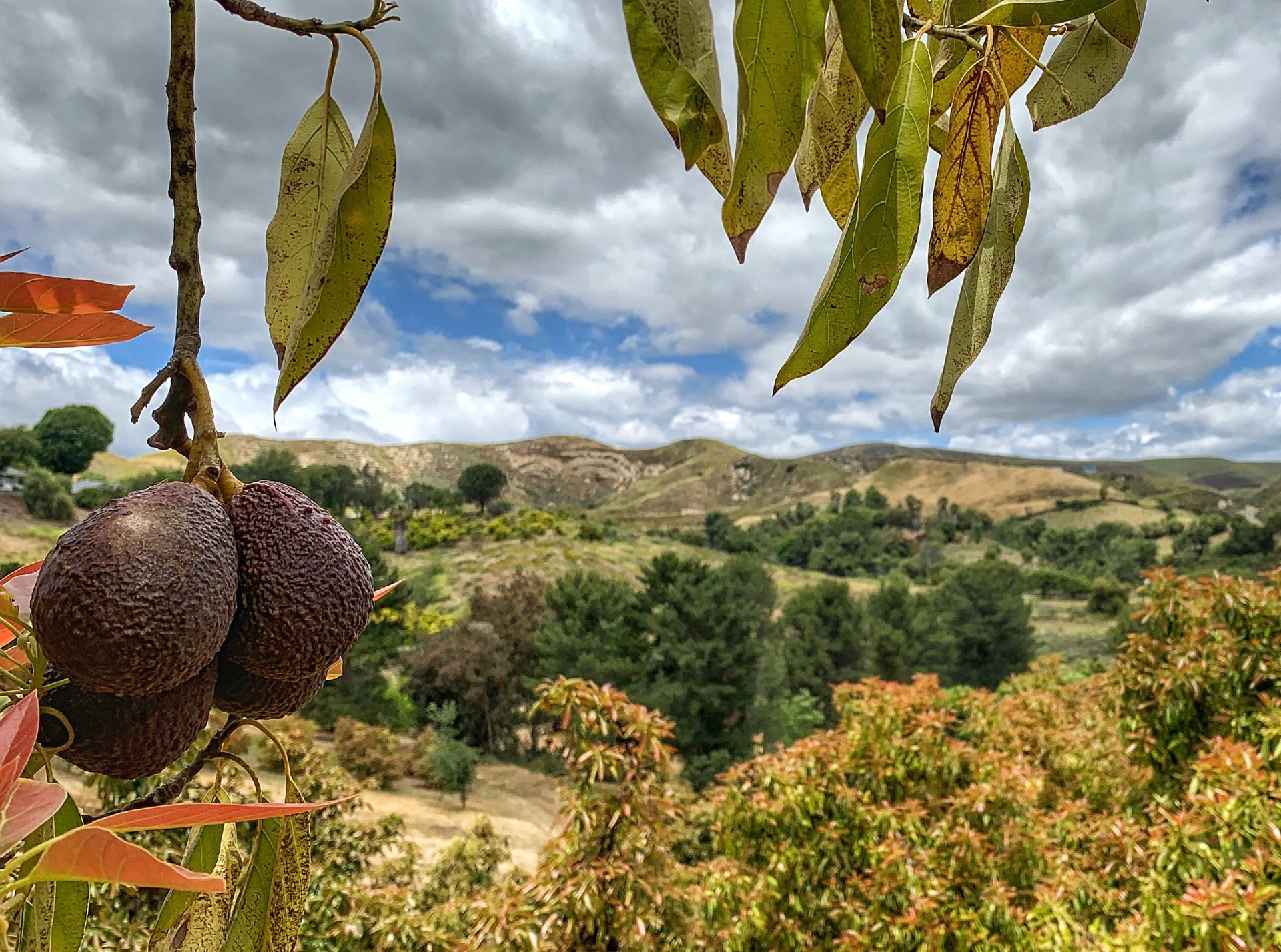 Hare & Associates in Moorpark, CA (5)