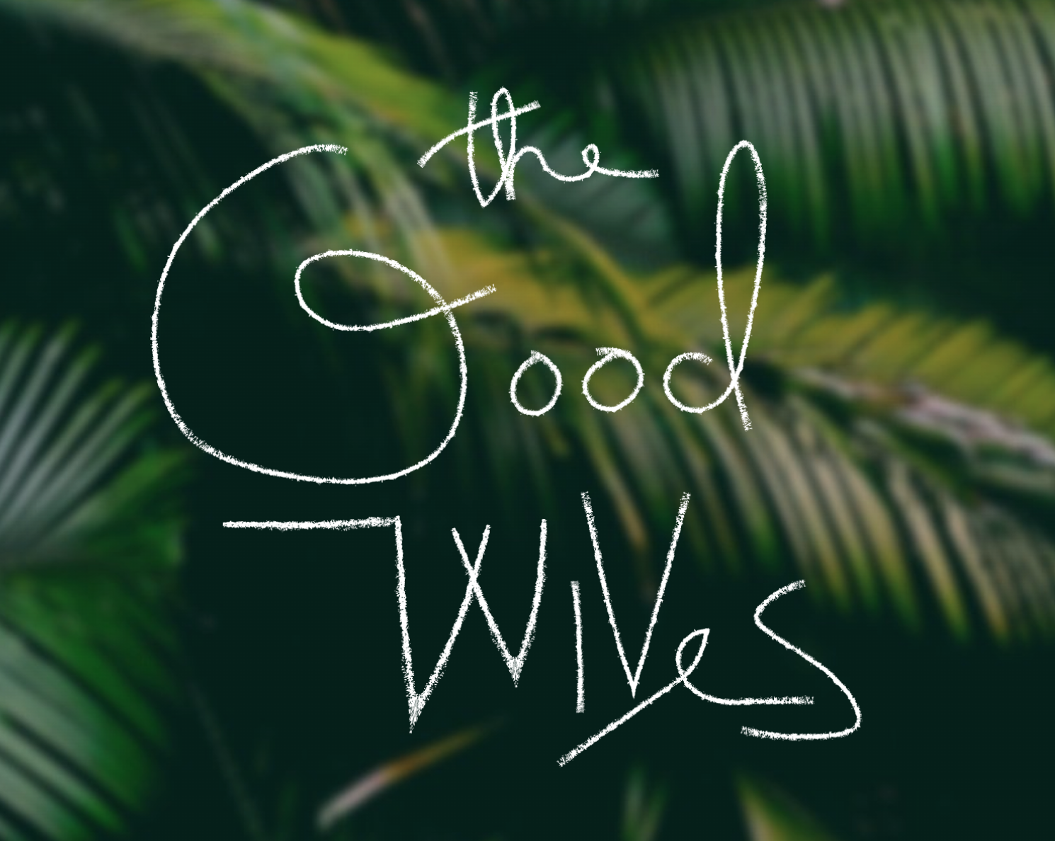 The Good Wives in Eau Claire, WI (3)