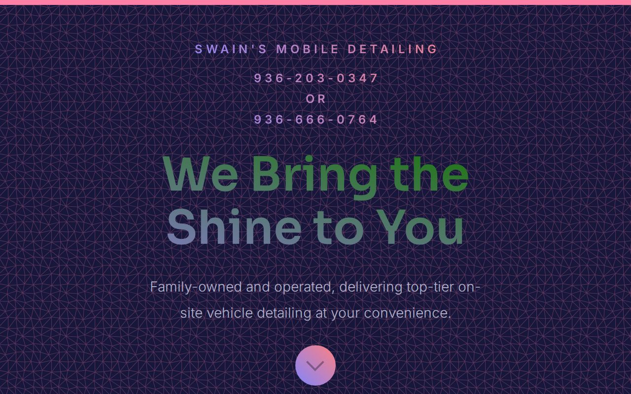 Swain's Family Mobile Detailing in Willis, TX