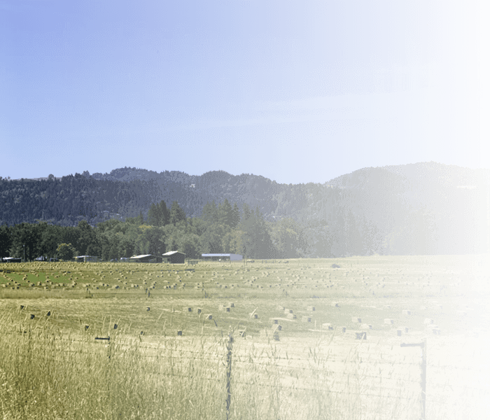 Selzer Realty & Associates RE/MAX Gold in Ukiah, CA (3)
