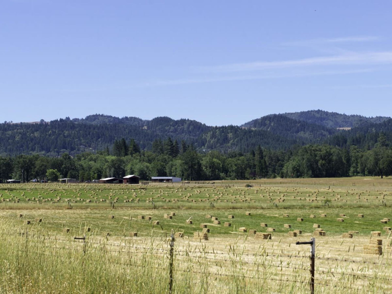 Selzer Realty & Associates RE/MAX Gold in Ukiah, CA (6)