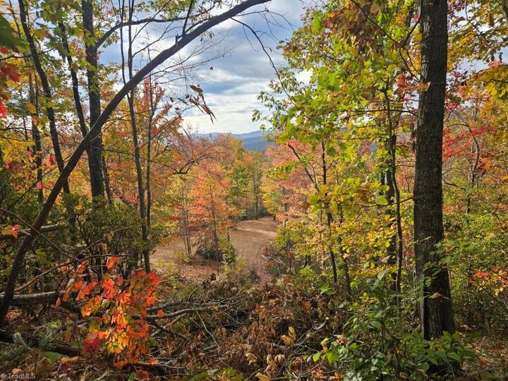 Carolina Realty Inc in Wilkesboro, NC