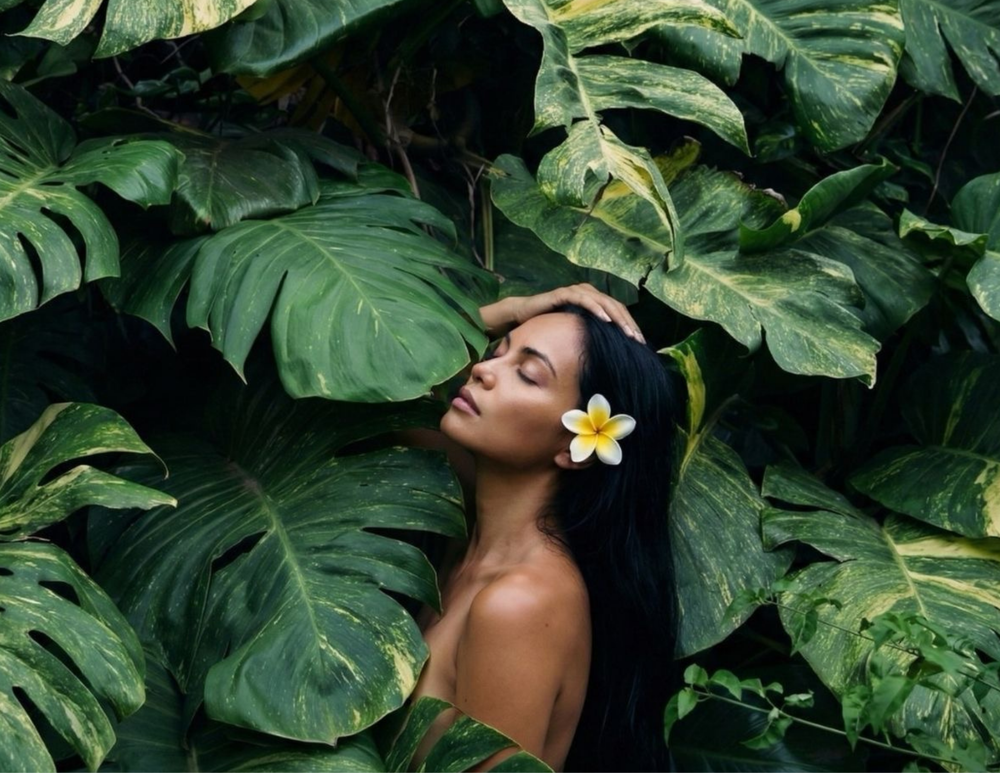 Bodied By Tiff | Expert Brazilian Waxing | Kingwood & Houston, TX in Kingwood, TX