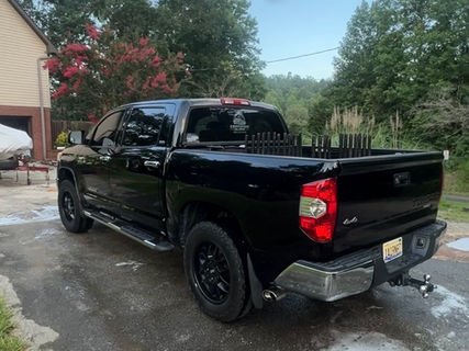 Primal Auto Detailing in Springville, AL (4)